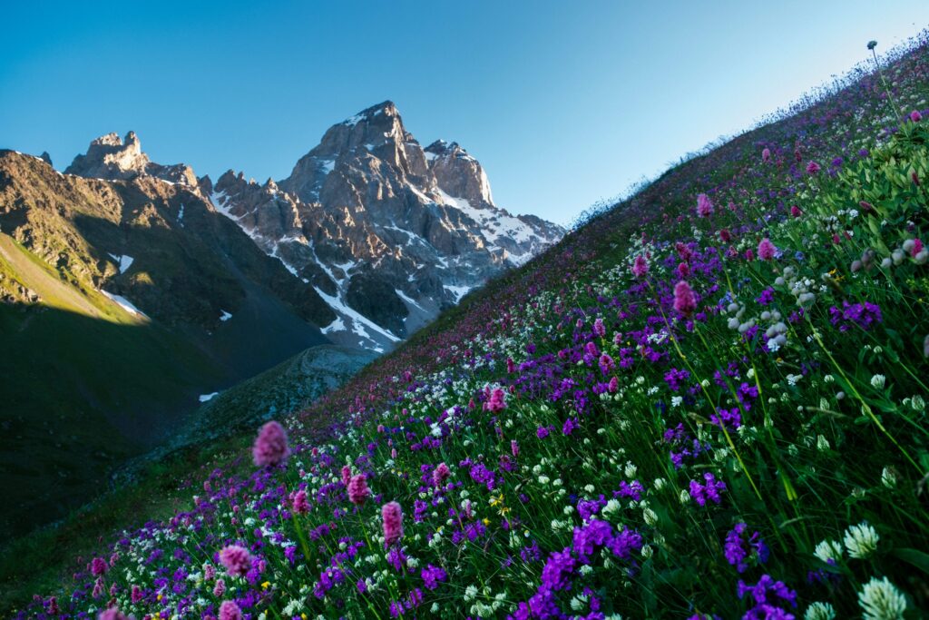 Mount Ushba above Svaneti, Georgia